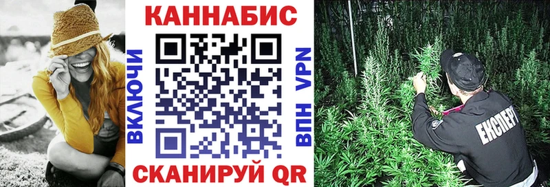 Конопля сатива  где продают наркотики  Верхний Уфалей 